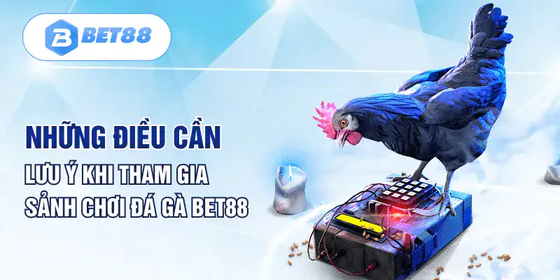 Những điều cần lưu ý khi tham gia sảnh chơi đá gà Bet88 Những điều cần lưu ý khi tham gia sảnh chơi đá gà Bet88
